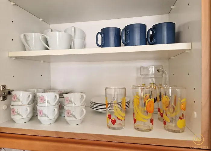 Daire Tartinka Piran